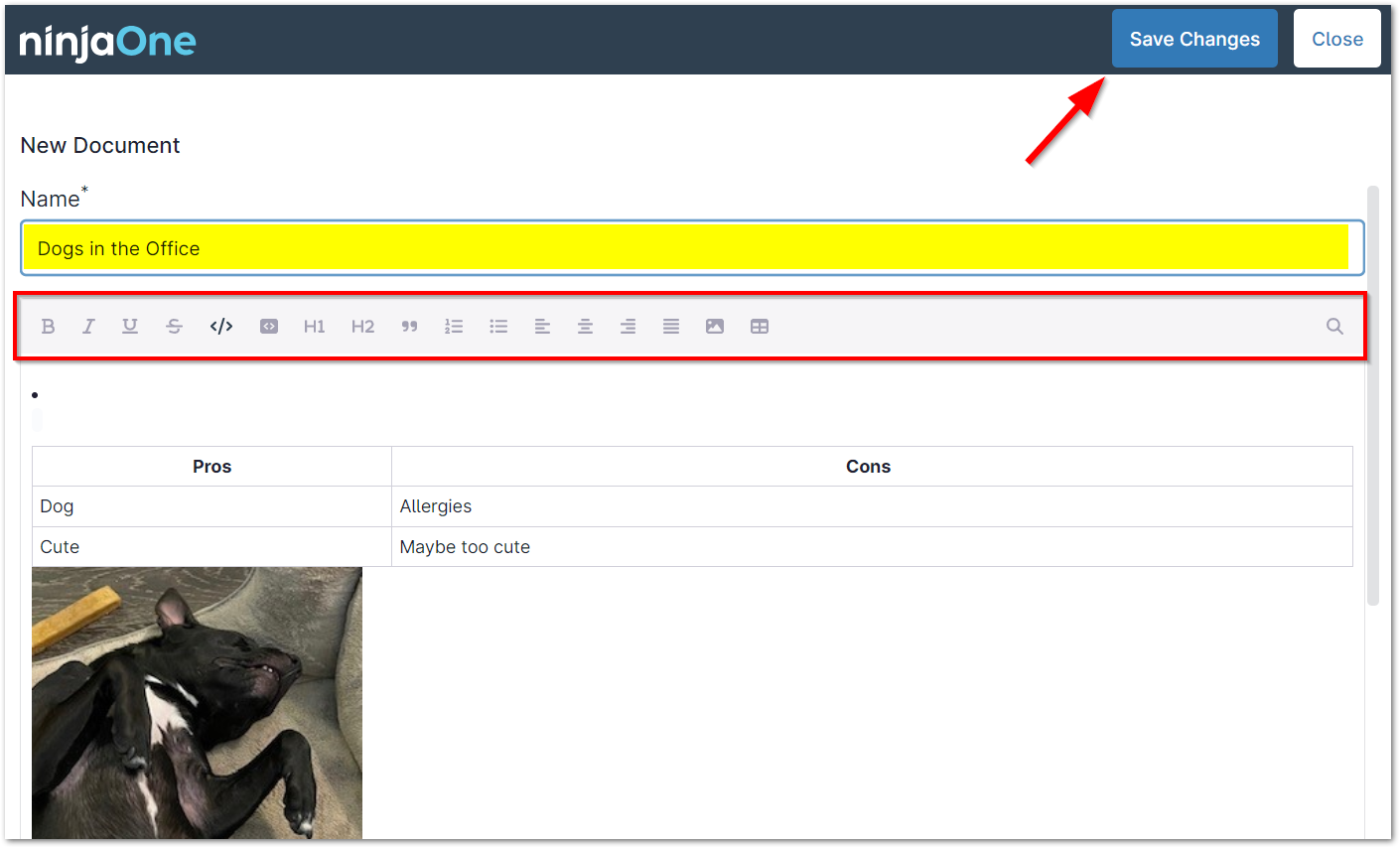KB_new document editor.png
